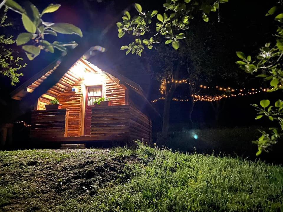 Hotel La 3 Stejari, Calimanesti Salatrucel Esterno foto