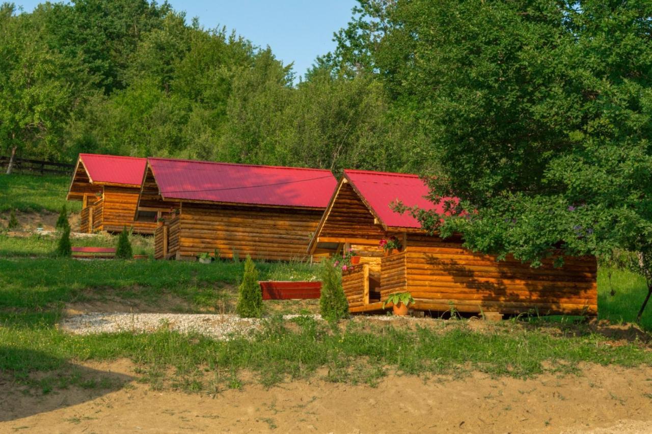Hotel La 3 Stejari, Calimanesti Salatrucel Esterno foto