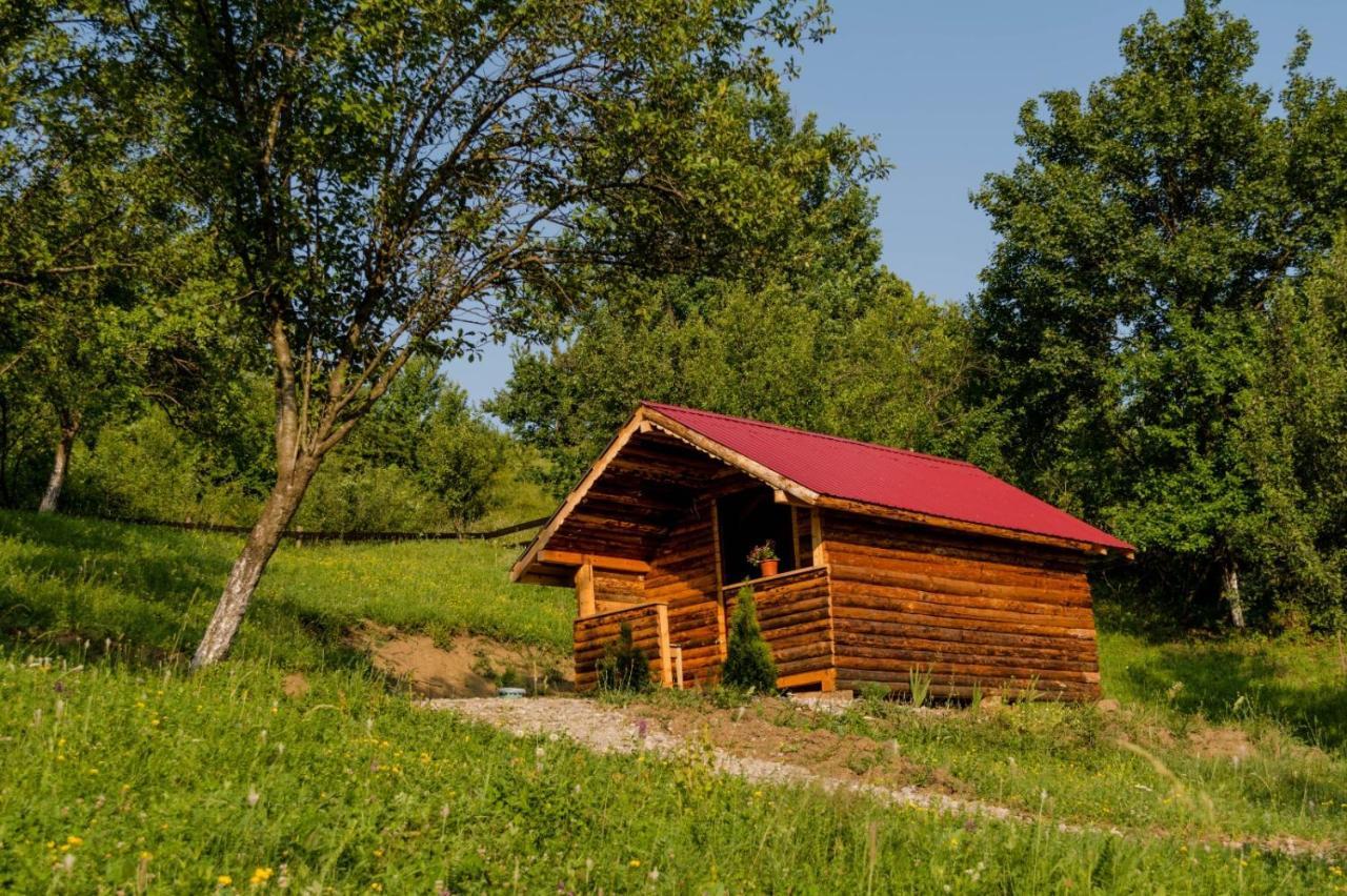 Hotel La 3 Stejari, Calimanesti Salatrucel Esterno foto