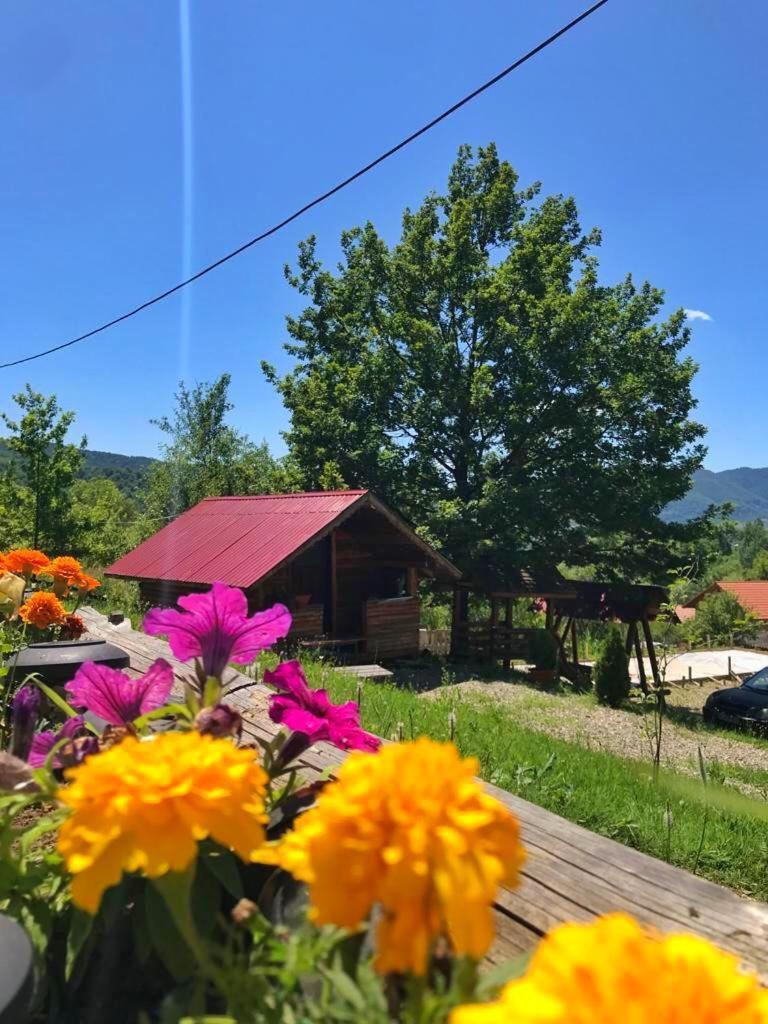 Hotel La 3 Stejari, Calimanesti Salatrucel Esterno foto