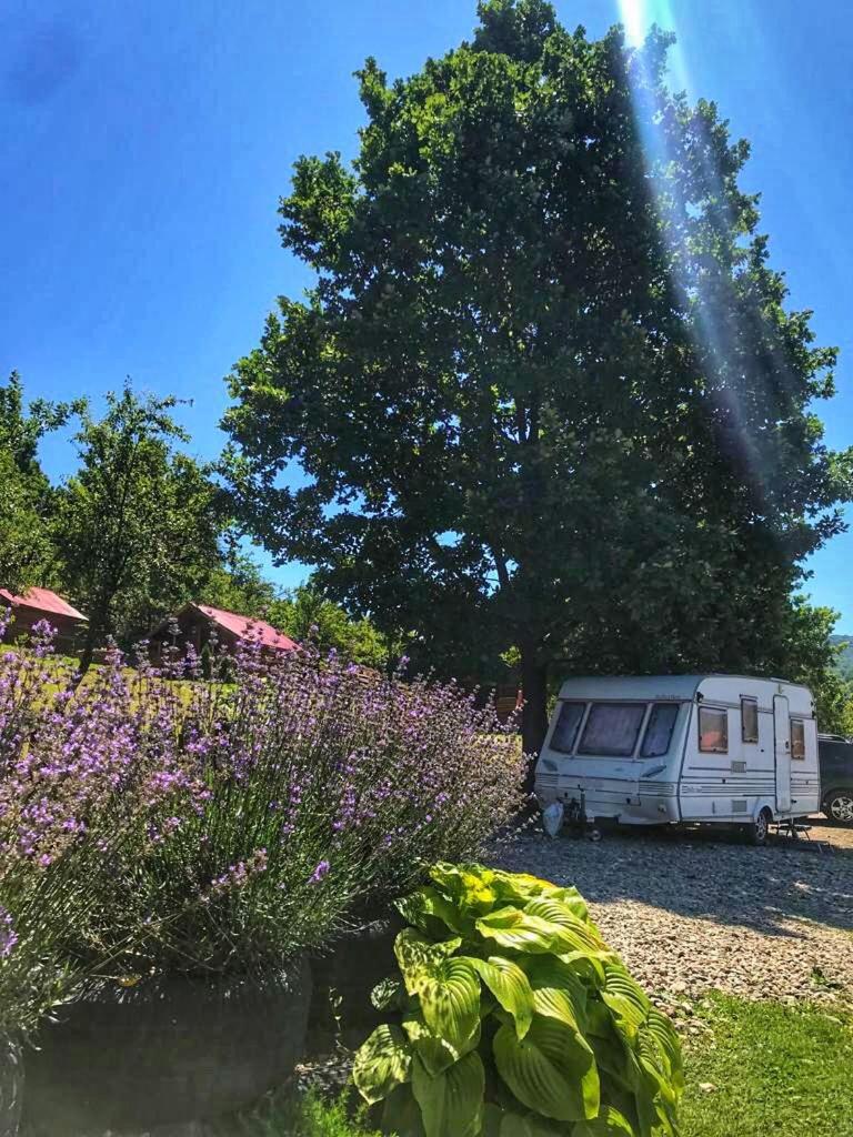 Hotel La 3 Stejari, Calimanesti Salatrucel Esterno foto