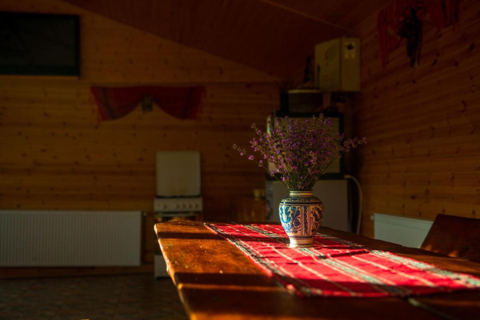 Hotel La 3 Stejari, Calimanesti Salatrucel Esterno foto