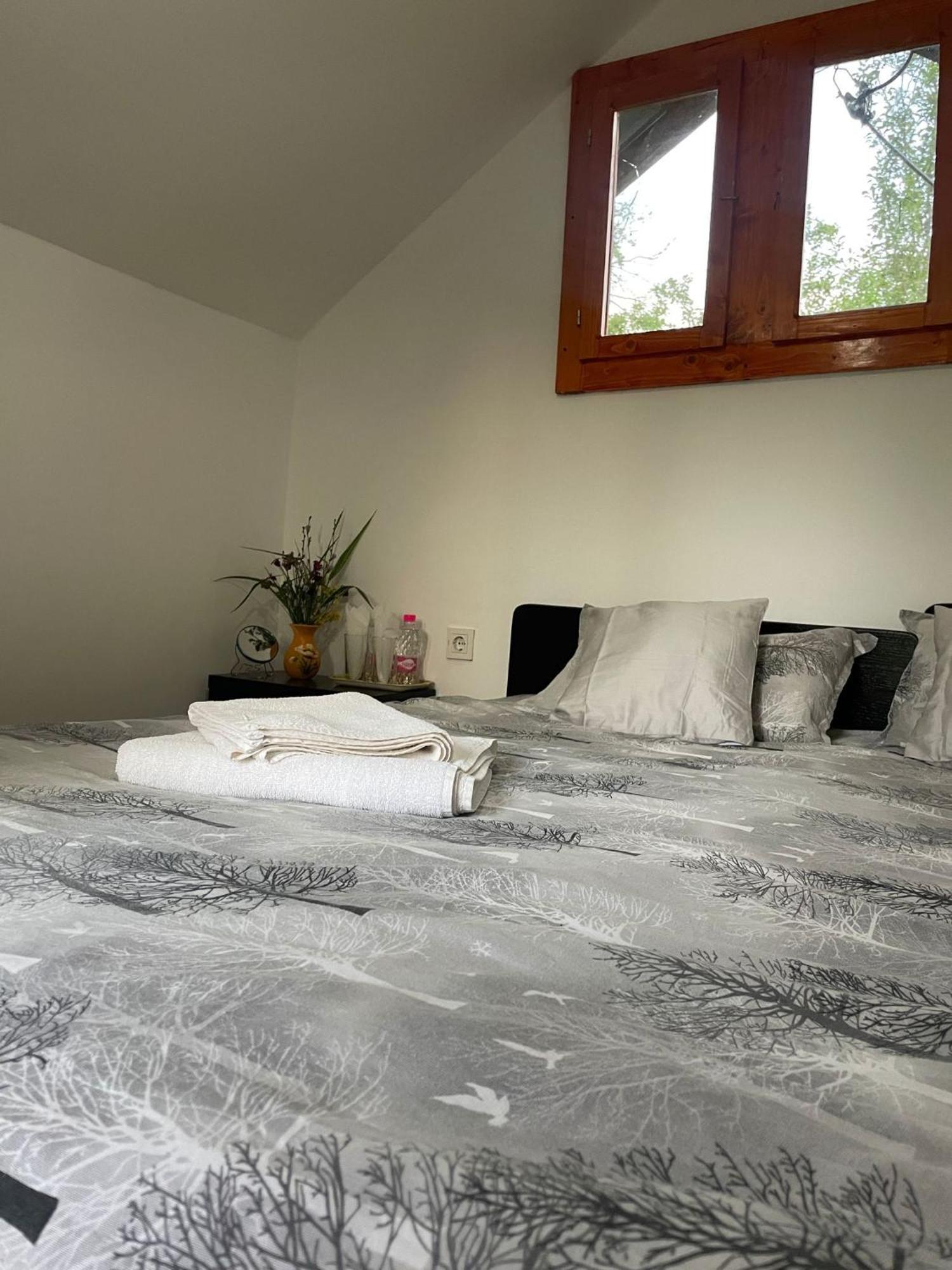 Hotel La 3 Stejari, Calimanesti Salatrucel Esterno foto