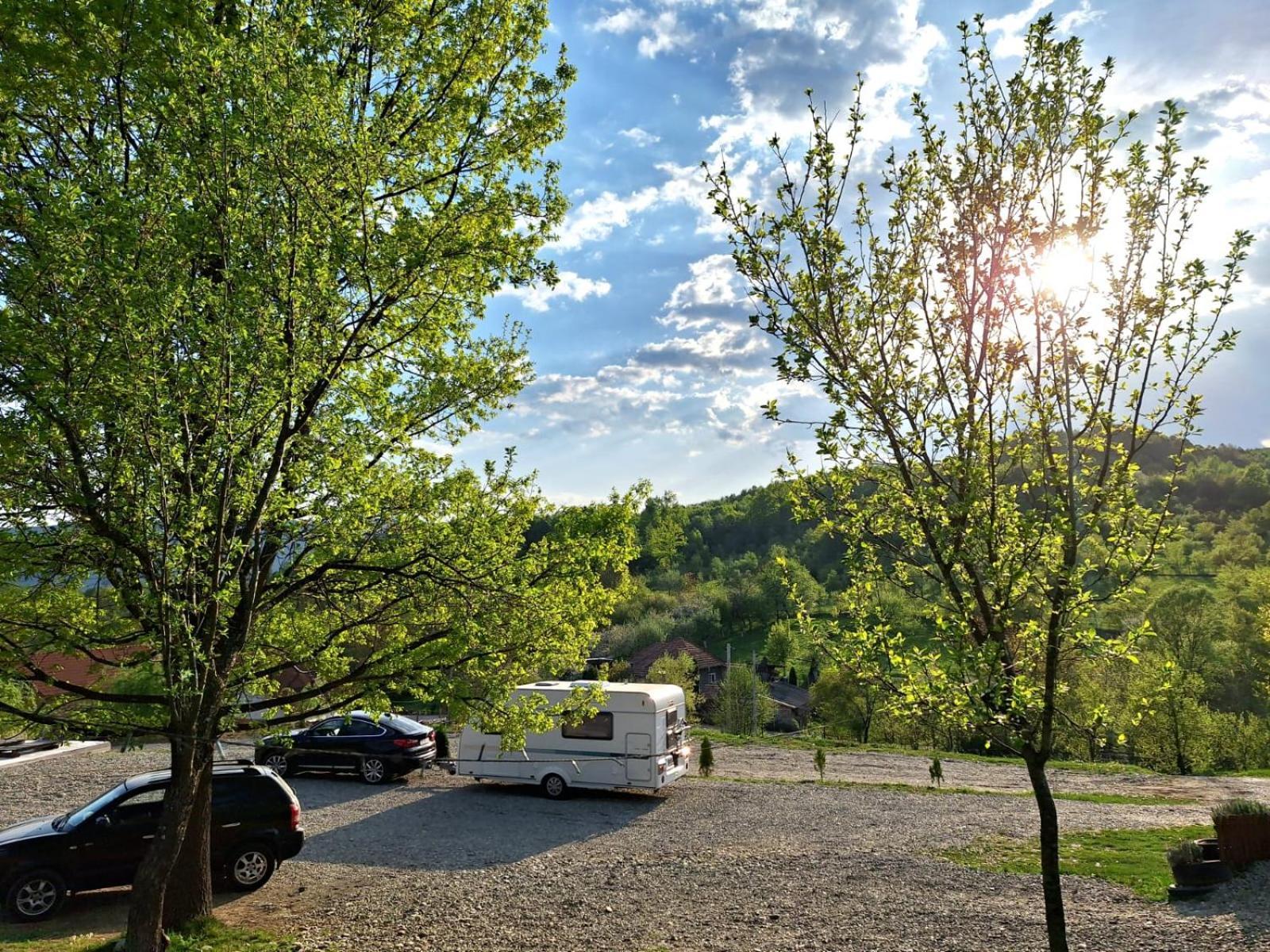 Hotel La 3 Stejari, Calimanesti Salatrucel Esterno foto