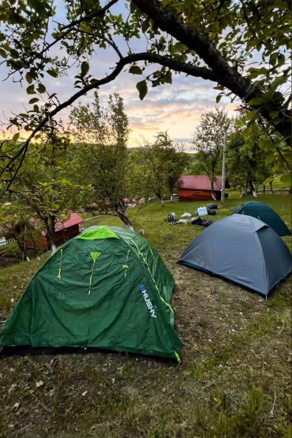 Hotel La 3 Stejari, Calimanesti Salatrucel Esterno foto