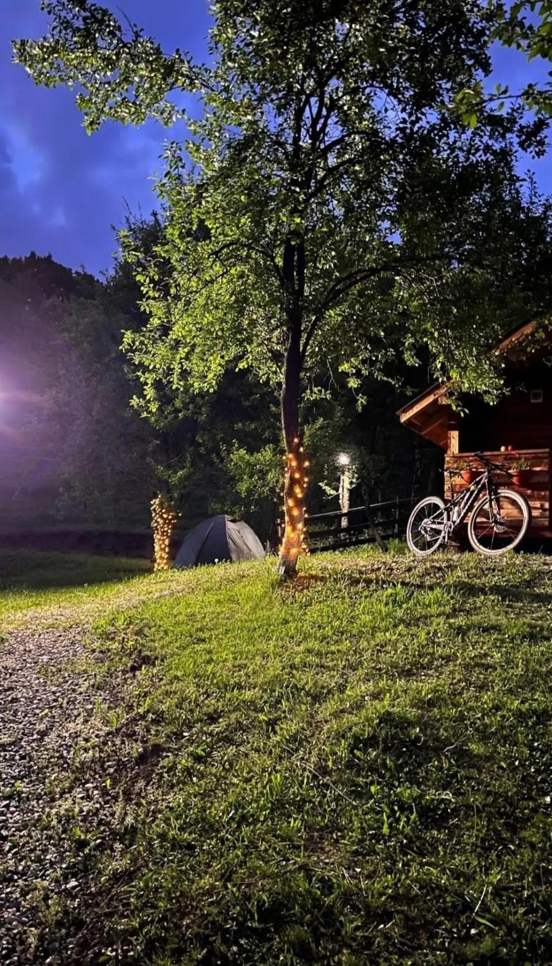 Hotel La 3 Stejari, Calimanesti Salatrucel Esterno foto